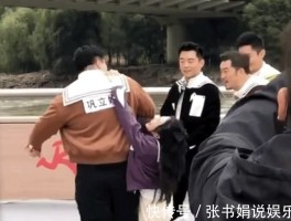 小猫几个月打疫苗最好：新手猫主必修课