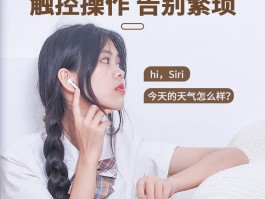 顶楼有猫是什么原因？揭秘背后的真相