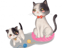 猫咪耐热性：夏天如何照顾你的爱猫