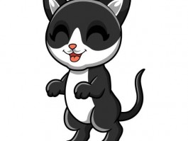猫咪口吐白沫怎么办：紧急情况的处理指南