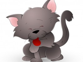 猫咪鼻子干：原因与解决方法