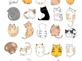 猫咪简单衣服步骤：轻松为爱猫穿上时尚小衣