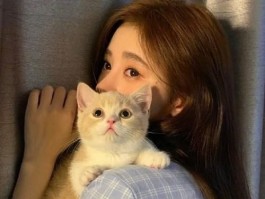 猫咪长寄生虫：预防与治疗全攻略