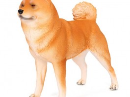 两个月柯基幼犬：健康成长指南