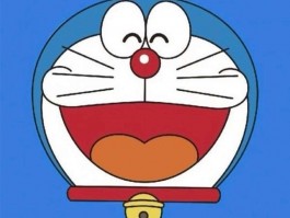 5个月的金毛怎么喂养：科学喂养指南