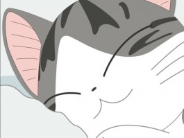 宠物脸肿了是什么原因