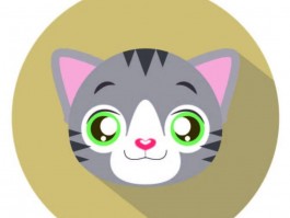 泰迪六个月吃多少狗粮？科学喂养指南