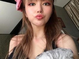 巧克力猫咪：探寻这一独特毛色的秘密