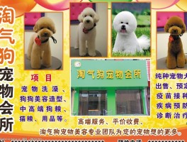 猫咪可以吃油吗？揭秘猫咪饮食中的油脂真相