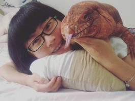 猫睡觉扭着身什么原因？揭秘猫咪睡眠姿势的秘密