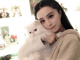 猫咪得耳螨怎么办：全面解析与应对策略