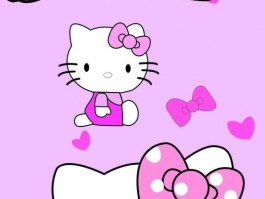 狸花猫一个月：新手养猫攻略大全
